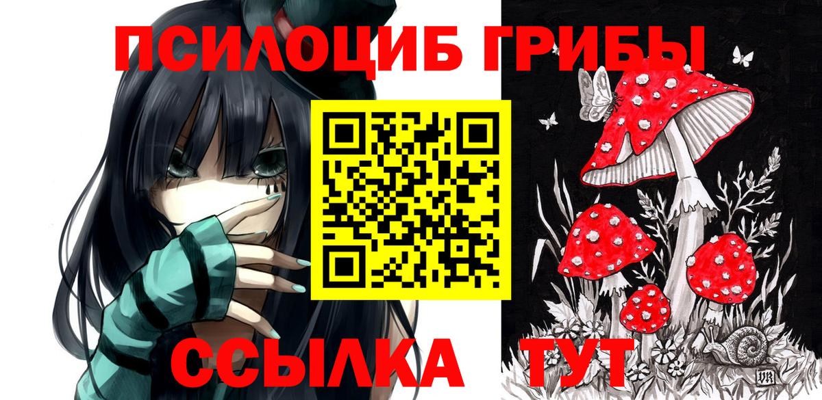 Псилоцибиновые грибы мухоморы  Галлюциногенные грибы мицелий  Вход с VPN  Тимашёвск 